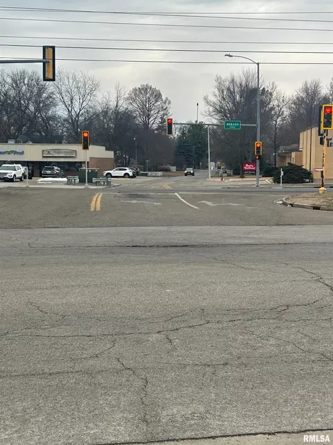 S Park Avenue, Springfield, IL 62704 photo 2