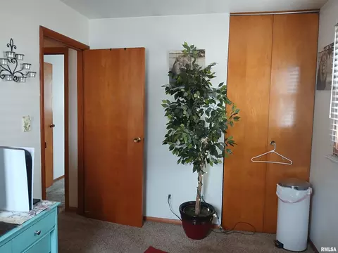 29 Melody Ln, Springfield, IL 62702 photo 18