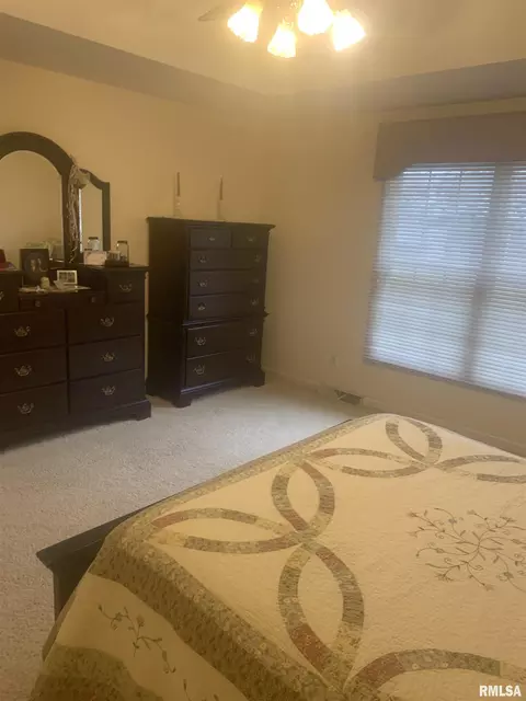 4117 Gaskell Dr, Springfield, IL 62711 photo 40