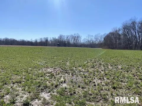 E 1950th Road, Dennison, IL 62423 photo 33