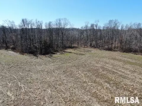 E 1950th Road, Dennison, IL 62423 photo 20