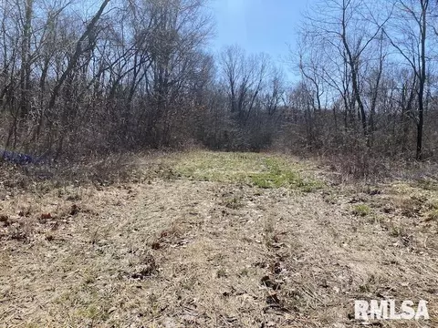 E 1950th Road, Dennison, IL 62423 photo 55