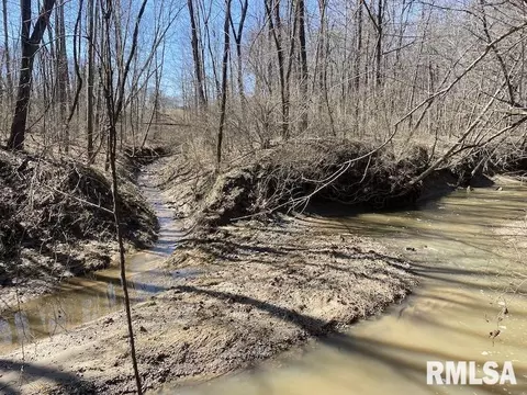 E 1950th Road, Dennison, IL 62423 photo 67