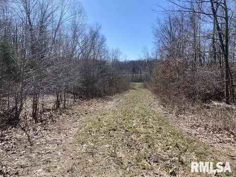 E 1950th Road, Dennison, IL 62423 photo 57