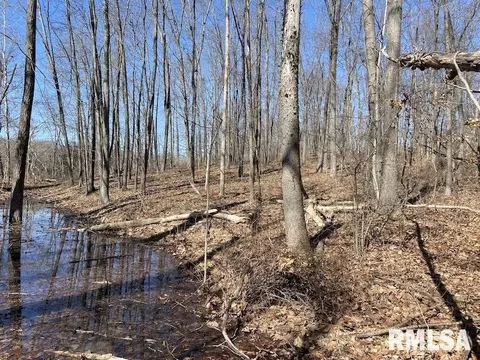 E 1950th Road, Dennison, IL 62423 photo 62