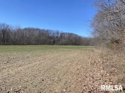 E 1950th Road, Dennison, IL 62423 photo 60