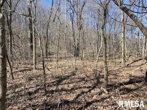 E 1950th Road, Dennison, IL 62423 photo 69
