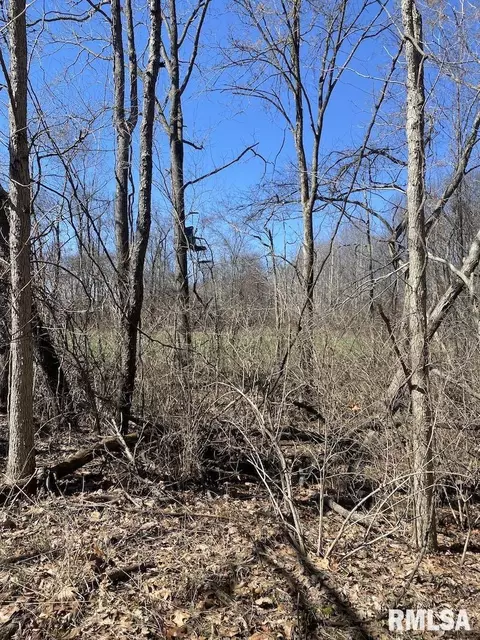 E 1950th Road, Dennison, IL 62423 photo 31