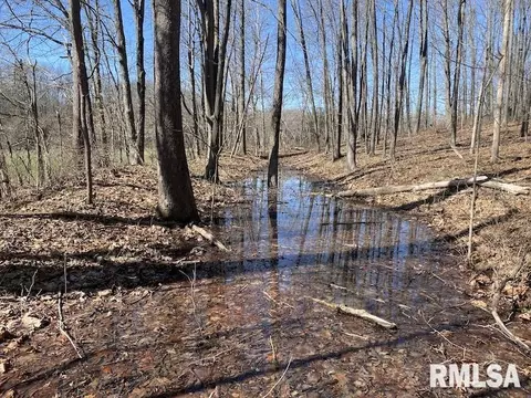 E 1950th Road, Dennison, IL 62423 photo 61