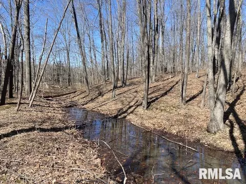 E 1950th Road, Dennison, IL 62423 photo 63