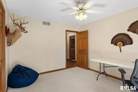 2505 Wydown Ave, Springfield, IL 62704 photo 29