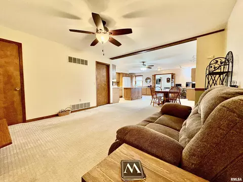 Living - 901 E Old 36 Rd, Alexander, IL 62601 photo 7 of 9