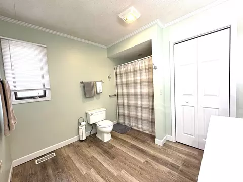 Bath - 901 E Old 36 Rd, Alexander, IL 62601 photo 5 of 15