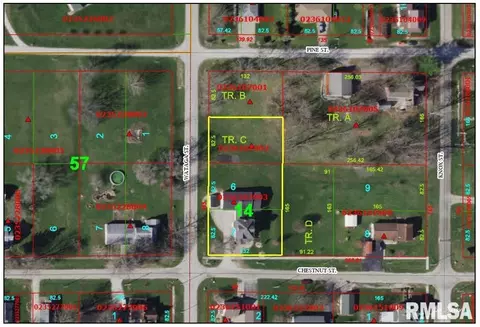 View/Area - 337 W Chestnut St, Oneida, IL 61467 photo 3 of 3