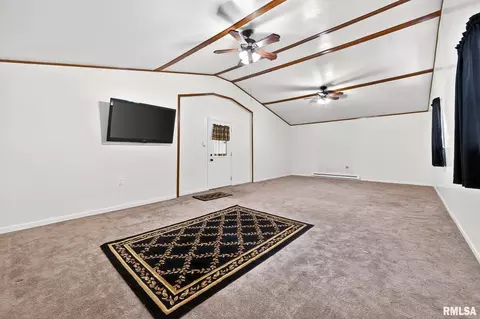 Other - 337 W Chestnut St, Oneida, IL 61467 photo 18 of 19