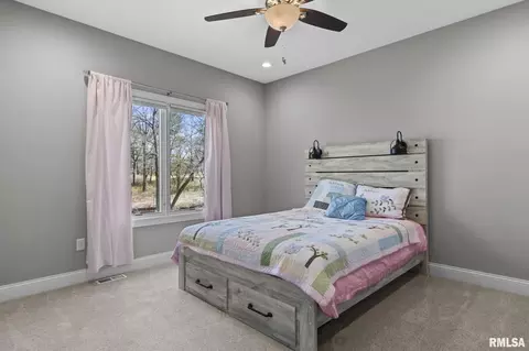Bedroom - 10 The Elms Ln, Springfield, IL 62712 photo 7 of 11