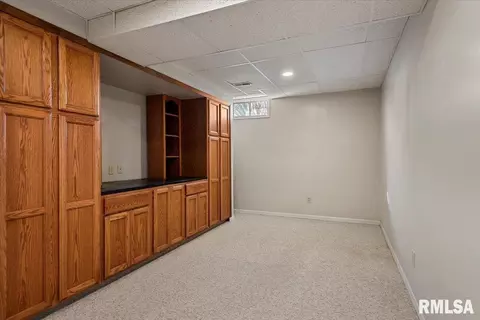 2900 Mill Point Ct, Springfield, IL 62704 photo 36