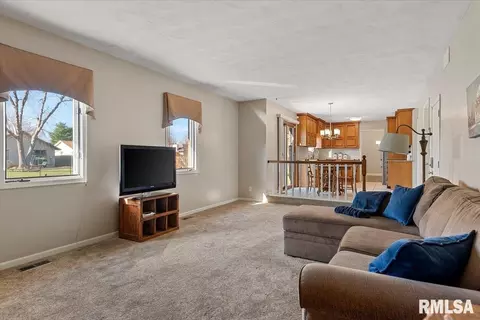 2900 Mill Point Ct, Springfield, IL 62704 photo 17