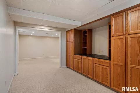 2900 Mill Point Ct, Springfield, IL 62704 photo 37