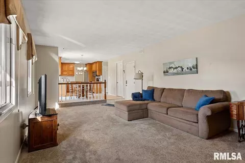 2900 Mill Point Ct, Springfield, IL 62704 photo 16