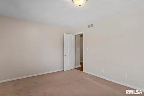 2900 Mill Point Ct, Springfield, IL 62704 photo 30