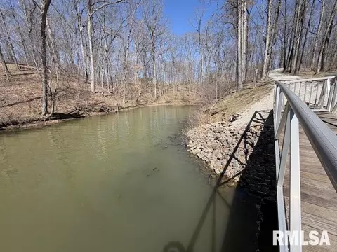 View/Area - 19003 N Hammer Rd, Marshall, IL 62441 photo 11 of 11