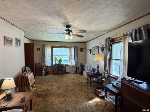 Living - 209 Yates Ave, Springfield, IL 62702 photo 3 of 3