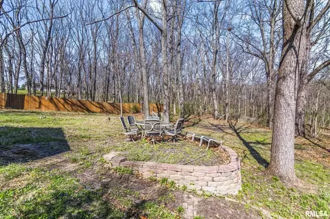 Exterior - 11266 Timber View Ln, Athens, IL 62613 photo 7 of 8