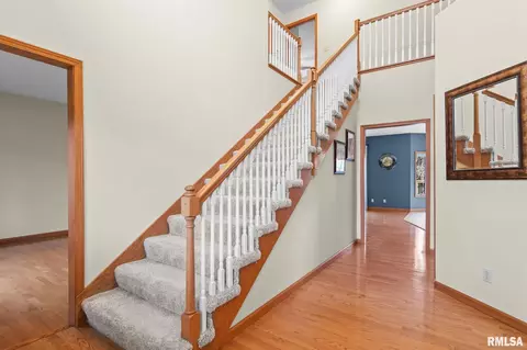 Entry Way - 3924 Surry Place Ln, Springfield, IL 62711 photo 2 of 3