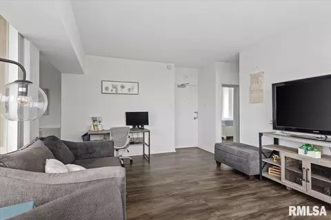 Living - 718 S 7th St, Springfield, IL 62704 photo 5 of 8