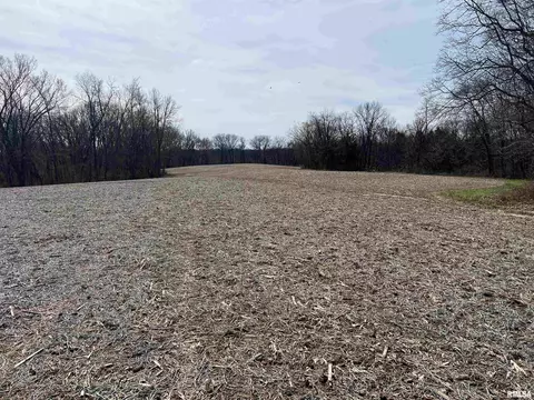 0 E State Route 95, Marietta, IL 61459