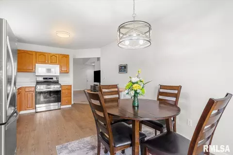 Other - 113 Eagle Ridge Dr, Chatham, IL 62629 photo 4 of 9