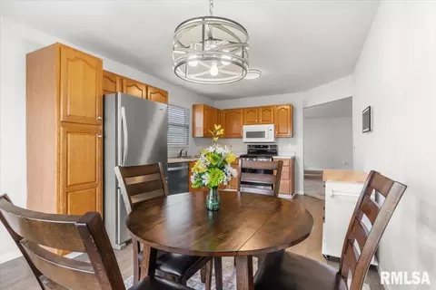 Other - 113 Eagle Ridge Dr, Chatham, IL 62629 photo 5 of 9
