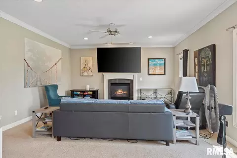 Living - 1600 E Spruce St, Chatham, IL 62629 photo 1 of 1