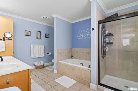 Bath - 505 Willows Ave, Chatham, IL 62629 photo 2 of 2