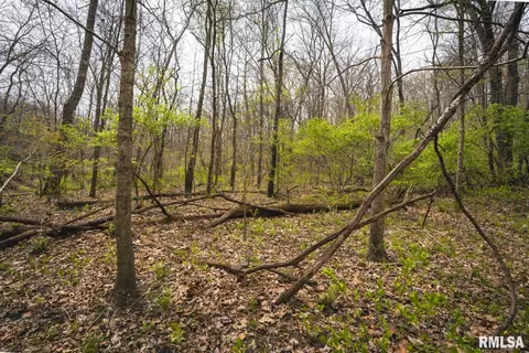 Other - 17157 Liberty Rd, Grafton, IL 62037 photo 21 of 27