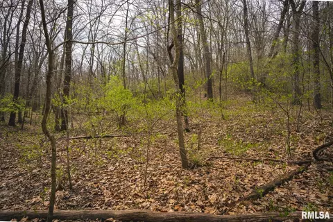 Other - 17157 Liberty Rd, Grafton, IL 62037 photo 20 of 27
