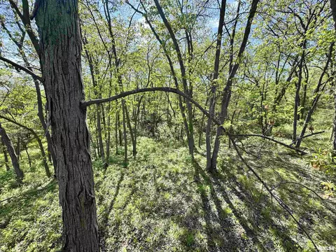 000 E 3053rd Ln, Beverly, IL 62347 photo 26