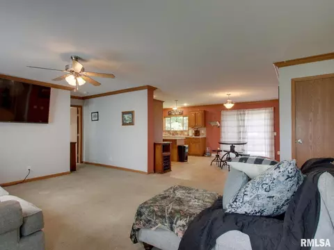 Other - 4 Orchard Dr, Barry, IL 62312 photo 5 of 7