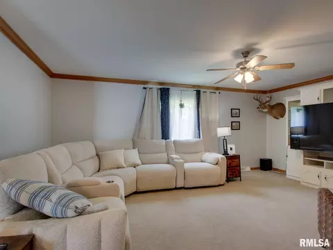 Living - 4 Orchard Dr, Barry, IL 62312 photo 1 of 2