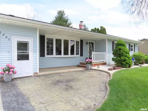 Other - 205 S Park St, Alpha, IL 61413 photo 1 of 14