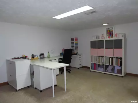 Other - 205 S Park St, Alpha, IL 61413 photo 6 of 14