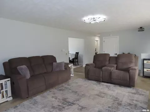 Living - 205 S Park St, Alpha, IL 61413 photo 3 of 5