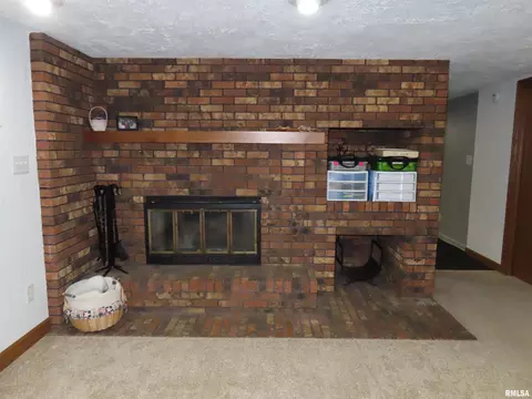 Living - 205 S Park St, Alpha, IL 61413 photo 5 of 5