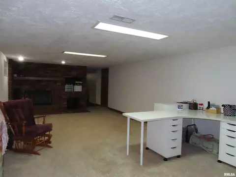 Other - 205 S Park St, Alpha, IL 61413 photo 4 of 14