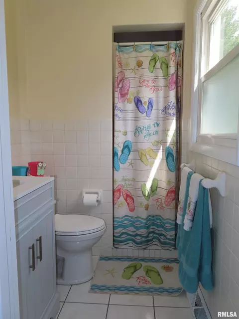 Bath - 205 S Park St, Alpha, IL 61413 photo 3 of 4
