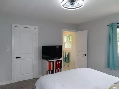 Bedroom - 205 S Park St, Alpha, IL 61413 photo 5 of 6