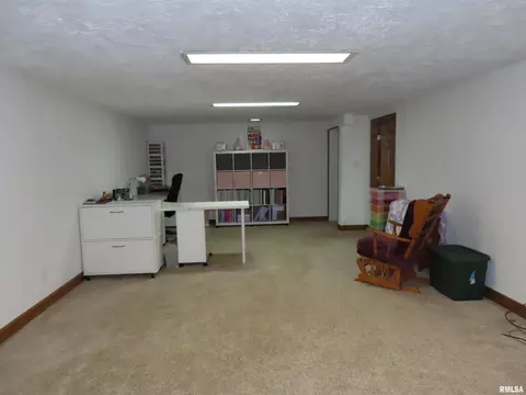 Other - 205 S Park St, Alpha, IL 61413 photo 5 of 14