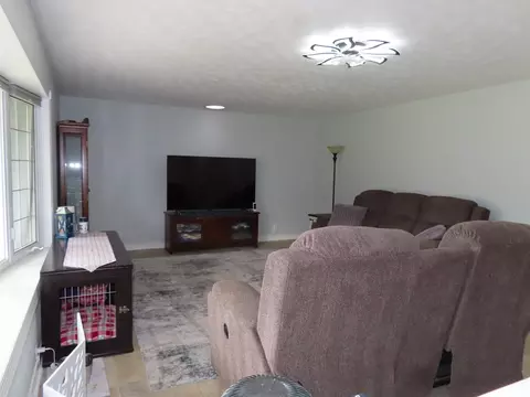Living - 205 S Park St, Alpha, IL 61413 photo 2 of 5