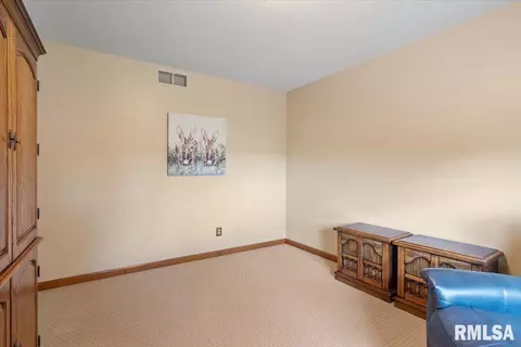 Other - 4084 Hollyhock Dr, Springfield, IL 62711 photo 14 of 19